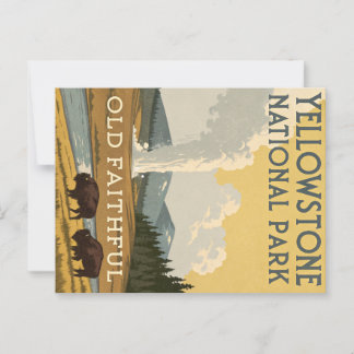Yellowstone National Park Postcard