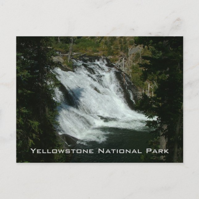 Yellowstone National Park Postcard (Front)