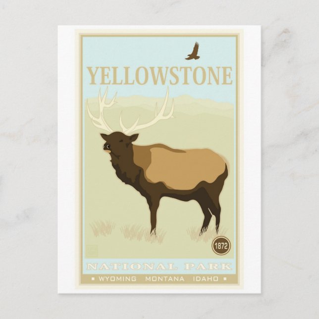 Yellowstone National Park Postcard (Front)