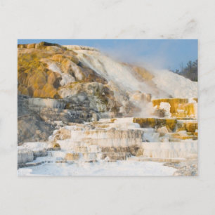 Yellowstone National Park Postcard