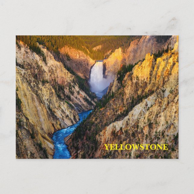 Yellowstone National Park Postcard (Front)