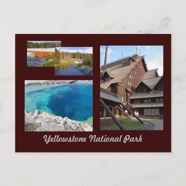 Yellowstone National Park Postcard (Front)