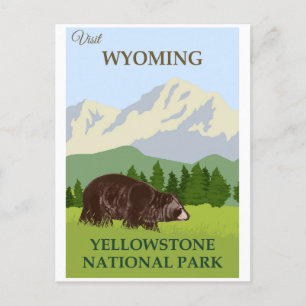 Yellowstone National Park Postcard