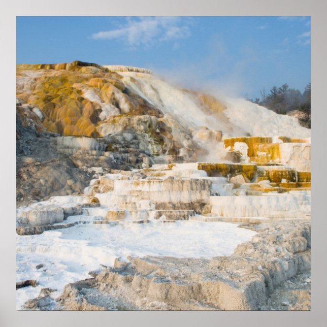 Yellowstone National Park Poster (Front)