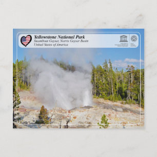 Yellowstone National Park - Steamboat Geyser Postcard