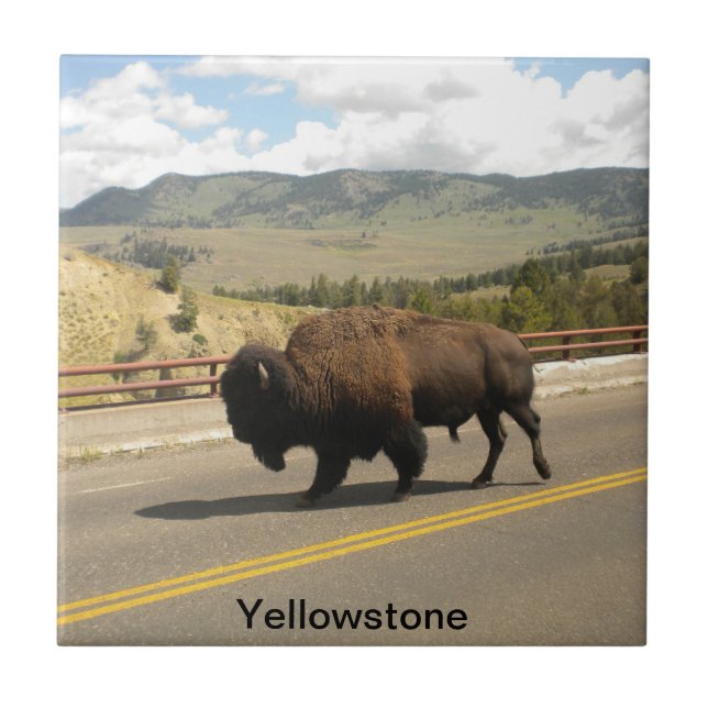 Yellowstone National Park Tile (2) (Front)