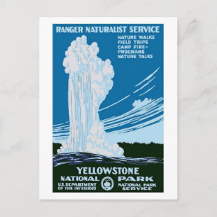 Yellowstone National Park Vintage Postcard