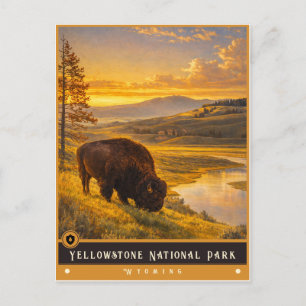 Yellowstone National Park Vintage Postcard