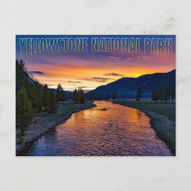 Yellowstone National Park Wyoming at Sunset Stream Postcard (Front)