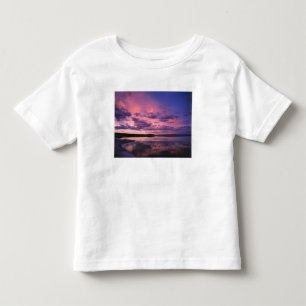 Yellowstone National Park, Wyoming. USA. Toddler T-shirt