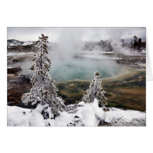 Yellowstone neigeux