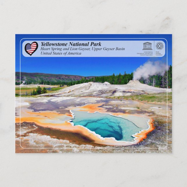 Yellowstone NP - Heart Spring and Lion Geyser Postcard (Front)
