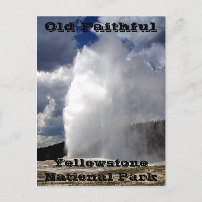 Yellowstone Old Faithful Postcard (Front)