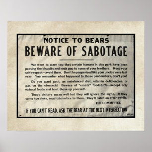 Yellowstone Park Notice Humorous Bear 1959 Poster