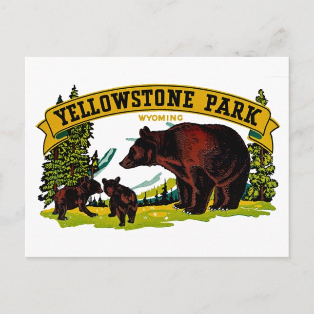 Yellowstone Park Postcard (Front)