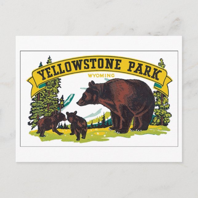 Yellowstone Park, Wyoming Postcard (Front)