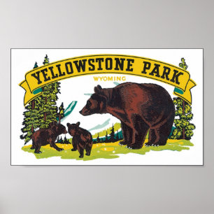 Yellowstone Park, Wyoming Poster