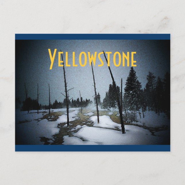 Yellowstone Postcard (Front)