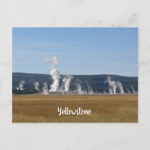 Yellowstone postcard