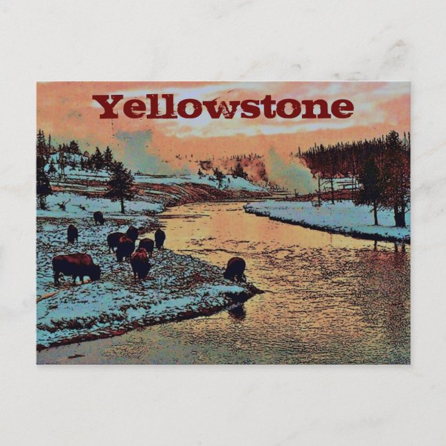 Yellowstone Postcard (Front)