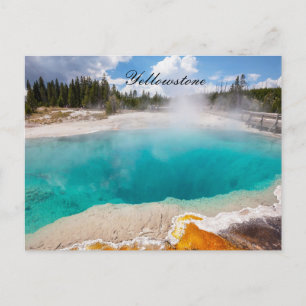YELLOWSTONE POSTCARD