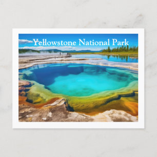 Yellowstone Postcard