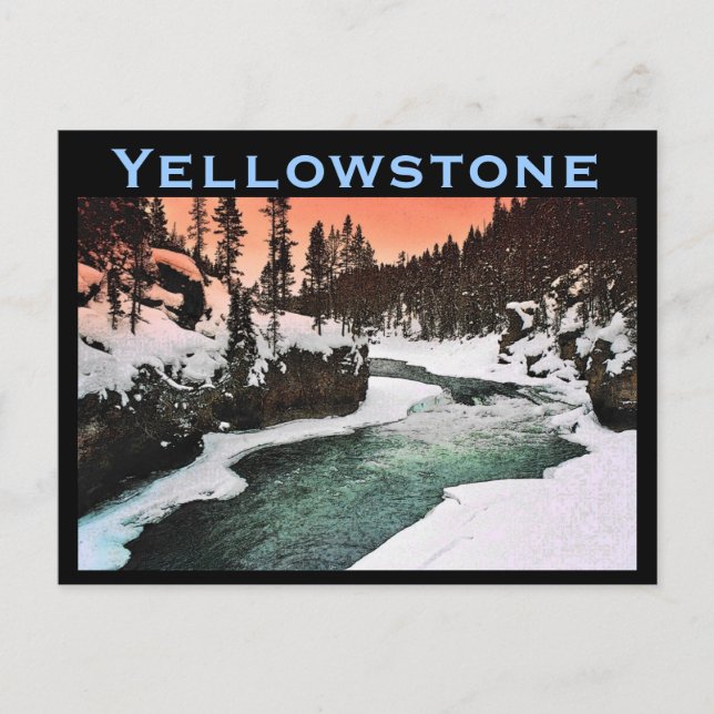 Yellowstone Postcard (Front)