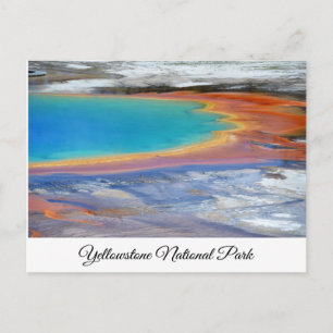 Yellowstone Prismatic Spring Carte postale Wyoming