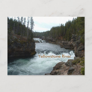 Yellowstone River Postcard