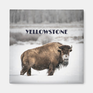 Yellowstone Snowstone Buffalo Magnet
