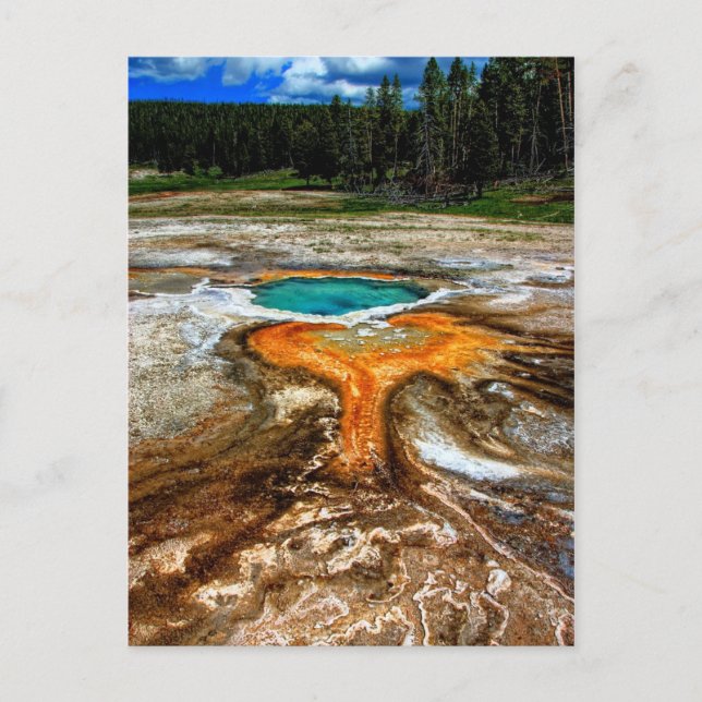 Yellowstone Thermal Pool Postcard (Front)