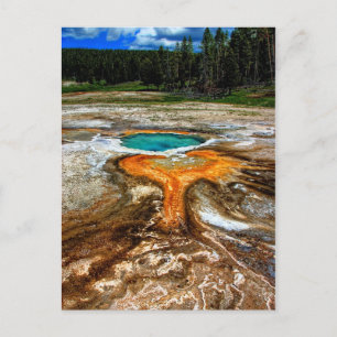 Yellowstone Thermal Pool Postcard