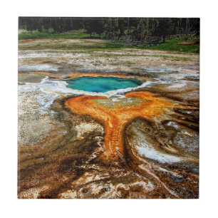Yellowstone Thermal Pool Tile