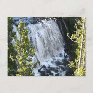 Yellowstone Waterfall Postcard