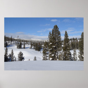Yellowstone Winter Landscape Photo Poster