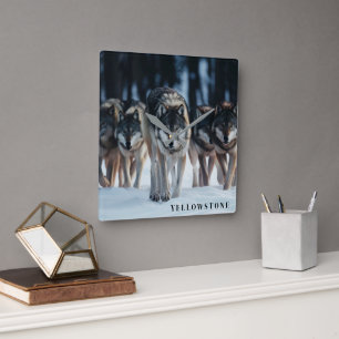 Yellowstone Wolves Square Wall Clock