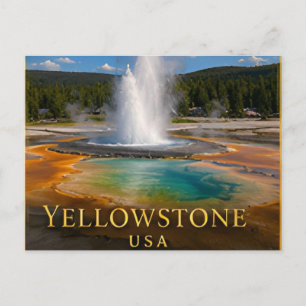 Yellowstone Wyoming Geysers, Wildlife & Volcanic Postcard