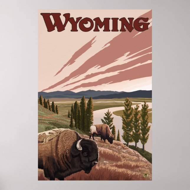 Yellowstone, Wyoming - Yellowstone River Bison Poster (Front)