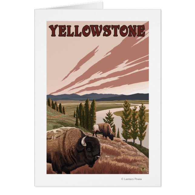 YellowstoneBison Scene (Front)