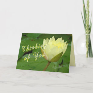 YellowWaterLily-customize Card