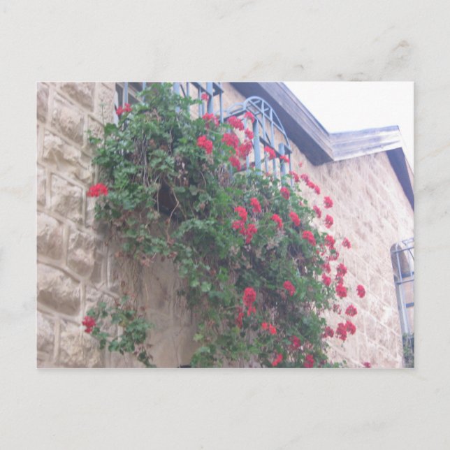 Yemin Moshe Postcard (Front)