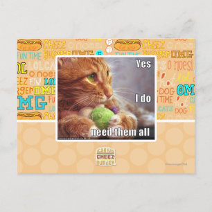 Yes I do need them all Postcard