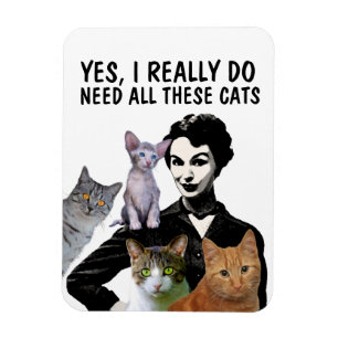 YES, I REALLY DO NEED ALL THESE CATS CAT MAGNET