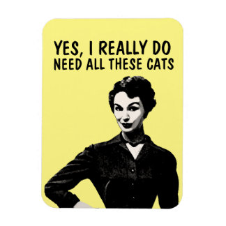 YES, I REALLY DO NEED ALL THESE CATS MAGNETS