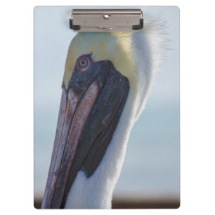 Yes I'm Gorgeous Clipboard