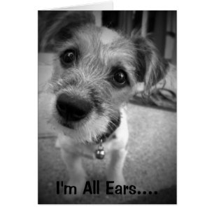 Yes Master, I'm All Ears