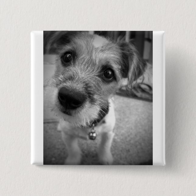 Yes Master, I'm All Ears 2 Inch Square Button (Front)