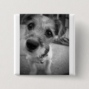Yes Master, I'm All Ears 2 Inch Square Button