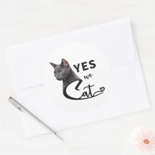 Yes We Cat - Yes We Can Classic Round Sticker