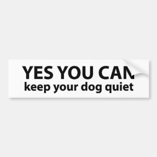 Yes, You Can ---Bumper Sticker